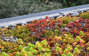 the cost of Flaggoners Green green roof installation